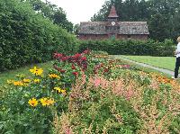 IMG_0649.JPG