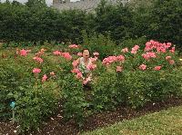 IMG_0659.JPG