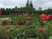 IMG_0714.JPG
