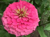 IMG_0742.JPG