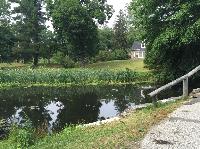 IMG_0746.JPG
