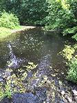 IMG_0748.JPG
