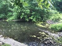 IMG_0749.JPG