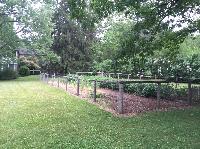 IMG_0759.JPG