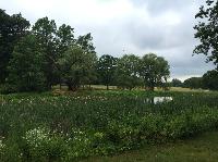 IMG_0761.JPG