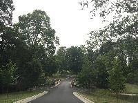 IMG_0517.JPG