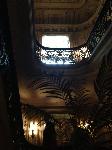IMG_5549.JPG