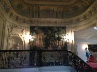 IMG_5562.JPG