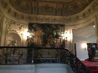 IMG_5567.JPG
