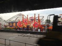 IMG_5728.JPG