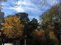 IMG_2070.JPG