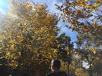IMG_2072.JPG