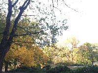 IMG_2074.JPG