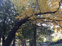 IMG_2079.JPG