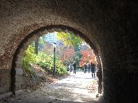 IMG_2107.JPG
