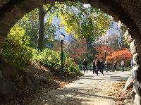 IMG_2109.JPG