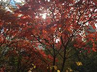 IMG_2134.JPG