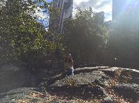 IMG_2199.JPG