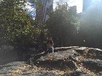 IMG_2200.JPG