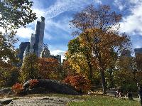 IMG_2210.JPG