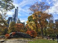 IMG_2211.JPG