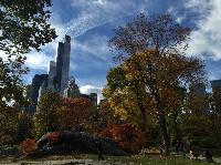 IMG_2215.JPG