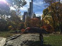 IMG_2219.JPG