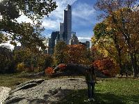 IMG_2223.JPG