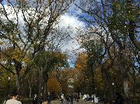 IMG_2257.JPG