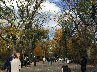 IMG_2258.JPG