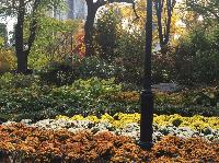 IMG_2259.JPG