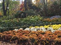 IMG_2263.JPG