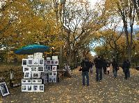 IMG_2273.JPG