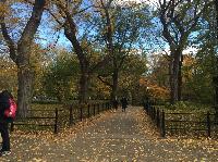 IMG_2275.JPG
