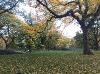IMG_2277.JPG