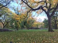 IMG_2278.JPG