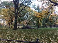 IMG_2279.JPG