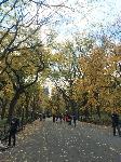 IMG_2289.JPG