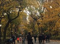 IMG_2292.JPG