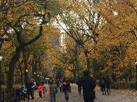IMG_2293.JPG