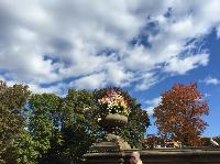 IMG_2298.JPG