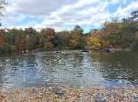 IMG_2308.JPG