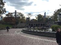 IMG_2394.JPG