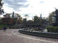 IMG_2396.JPG