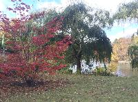 IMG_2407.JPG