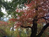 IMG_2417.JPG