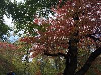 IMG_2418.JPG