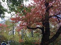 IMG_2420.JPG
