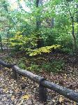 IMG_2424.JPG