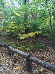 IMG_2425.JPG